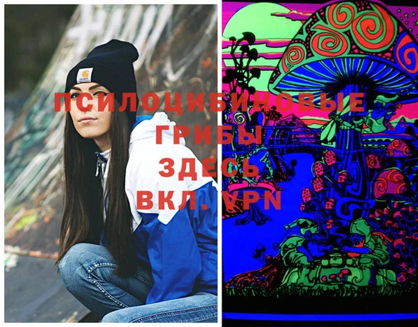 эйфоретик Вязьма
